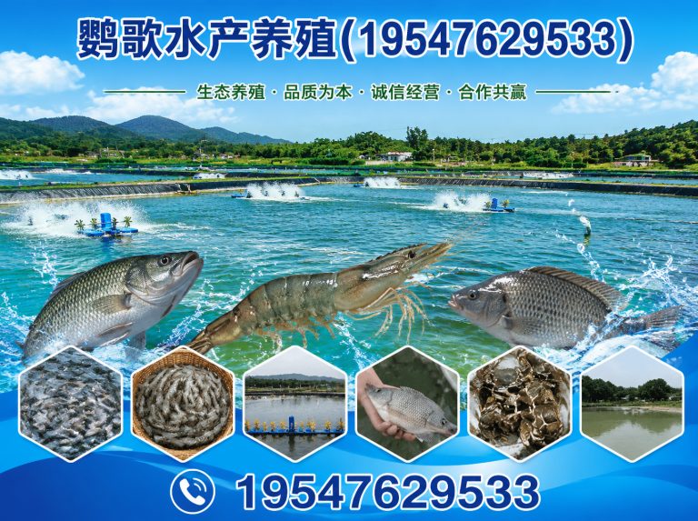 都江堰市鹦歌水产养殖展示图